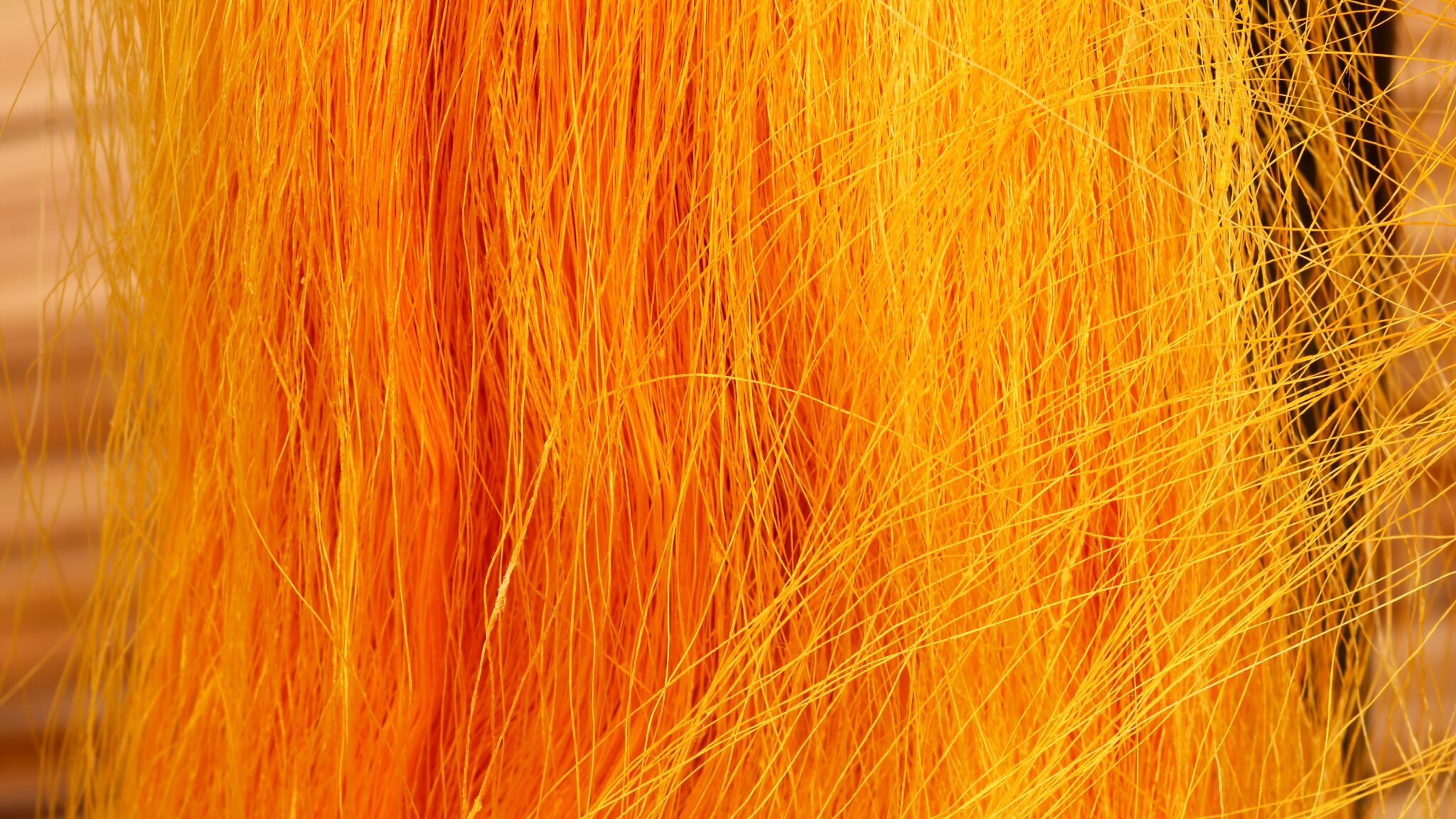 UPC’s NanoString Decision Inventive step considerations with no